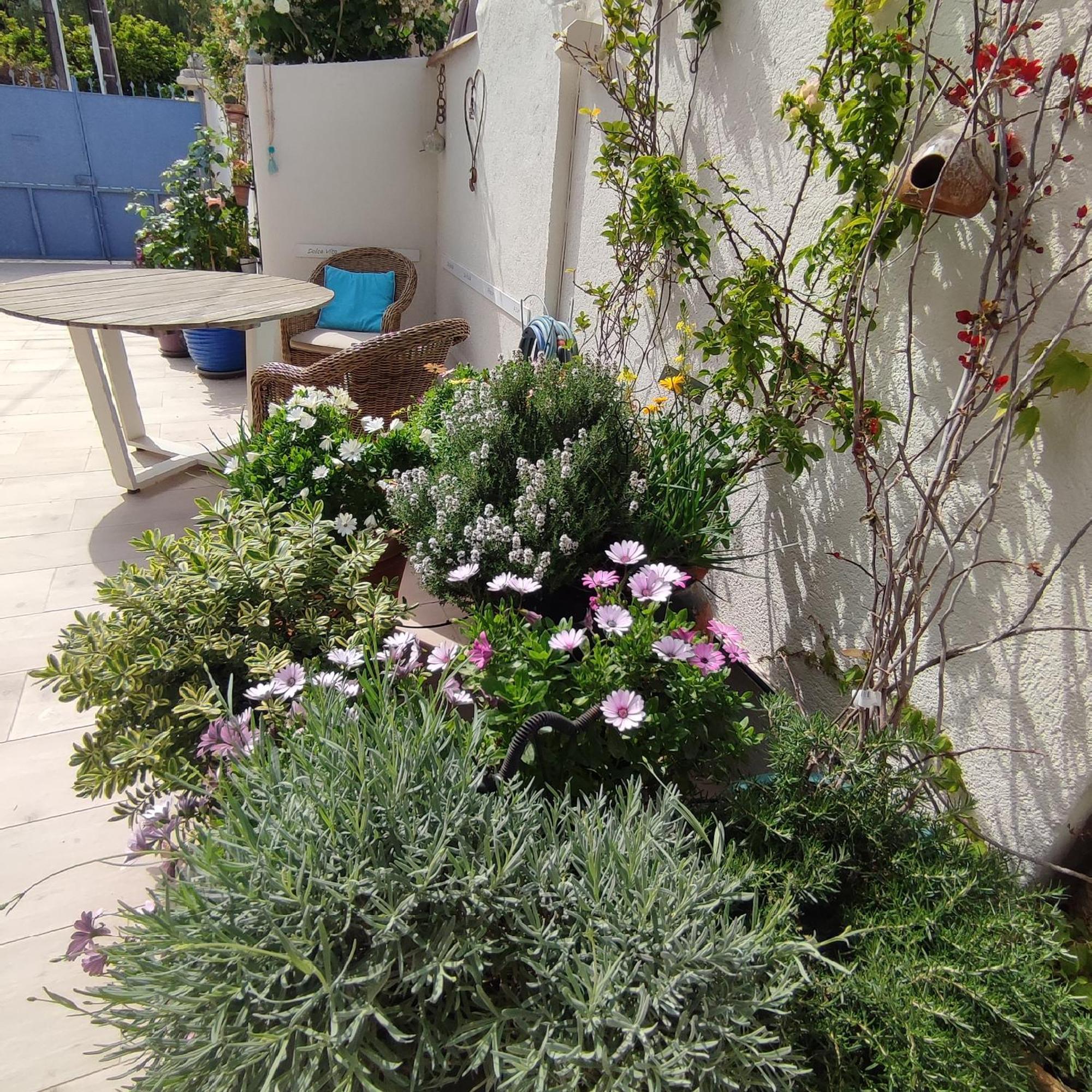Juan Les Pins Plages Clim Wifi Maison Entiere Apartment Antibes Exterior photo